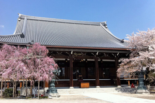 The Sole Head Temple of Honmon Butsuryū Shū—Yūseiji