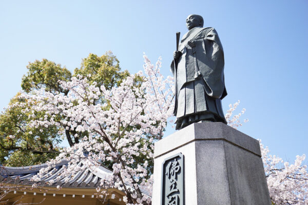 CHERRY BLOSSOM—Model of Way of Life HBS Believers Should Follow